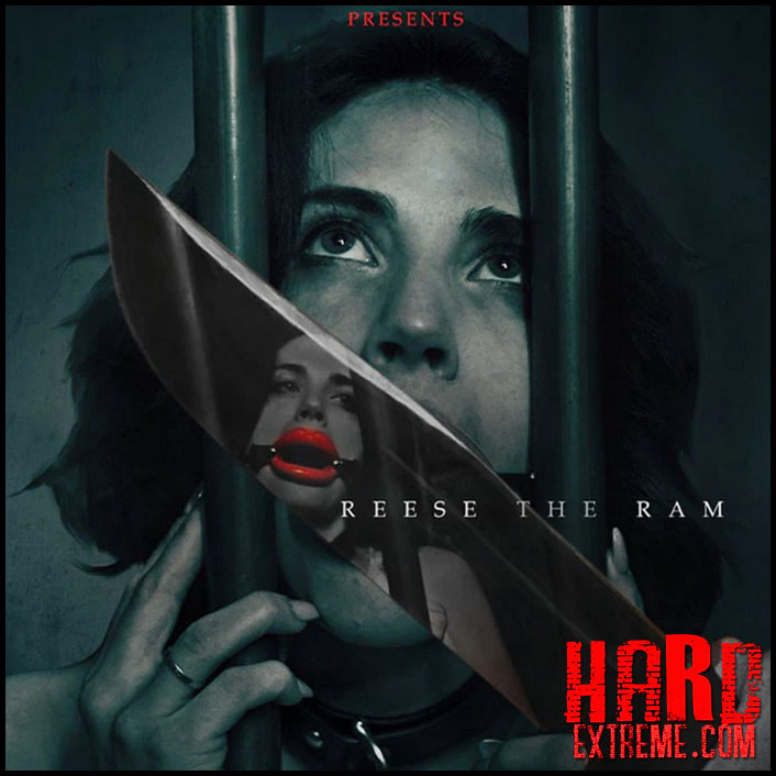 FancySteel: Reese the Ram,Princess Grandma Ko,Yes Nirvana – Marry Me